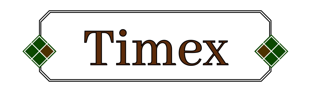 Timex Q Timex 1978 Date Reissue