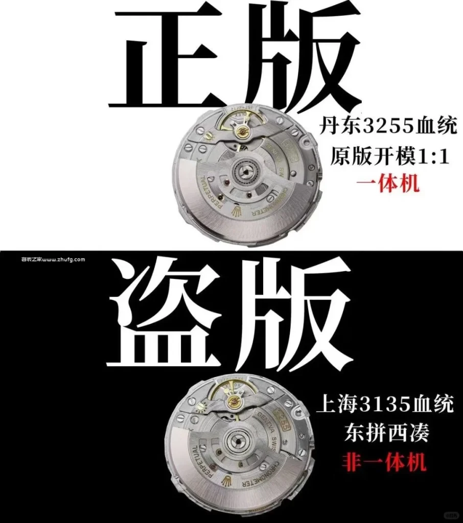VS廠機芯背面圖