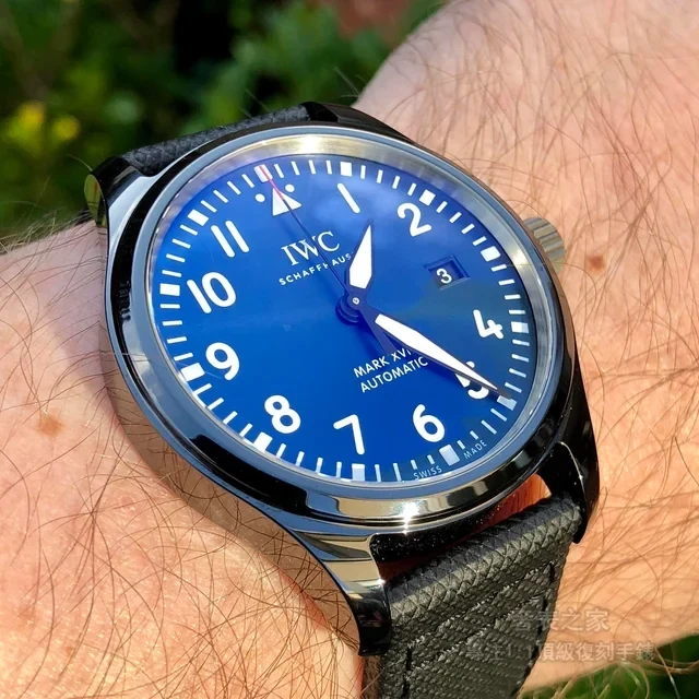 IWC柏濤菲諾系列錶款展示